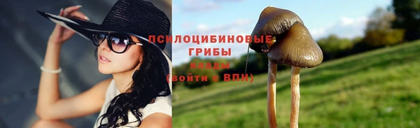 ешки Абаза