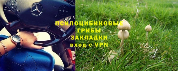 PSILOCYBIN Алексеевка