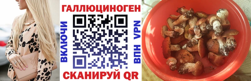 Псилоцибиновые грибы ЛСД  цены   Усть-Илимск 